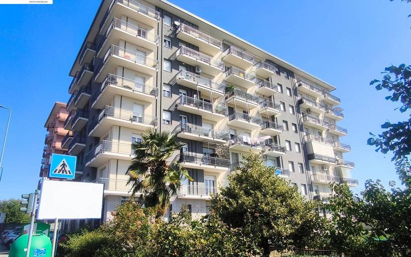 Quadrilocale via Matteotti 107, Gaglianico — foto 18 di 23
