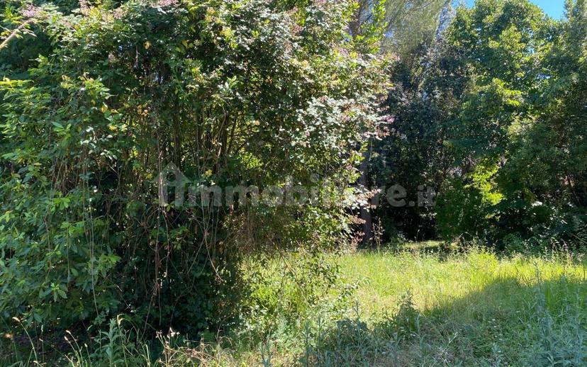 Appartamento via Hermada, Pratale, Pisa — foto 2 di 5