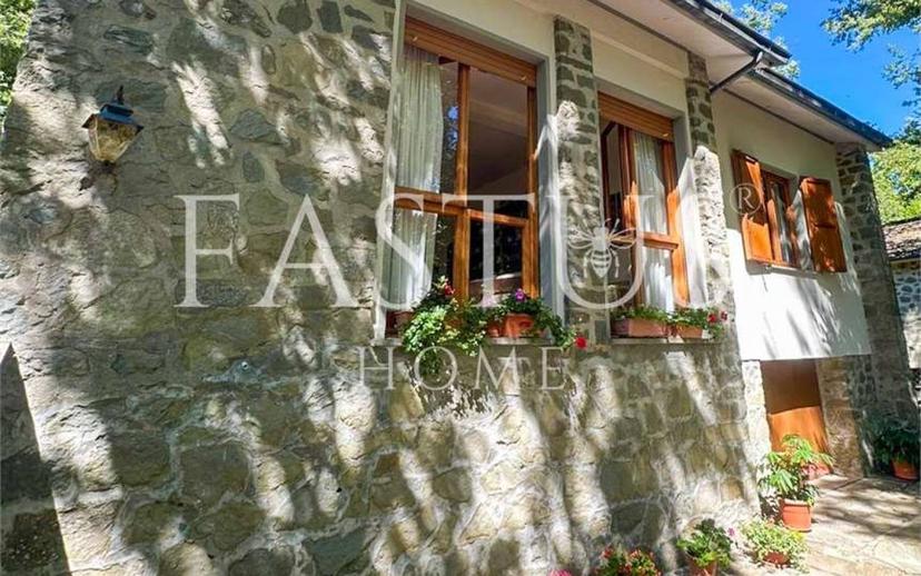 Quadrilocale mammianese, 50, Marliana