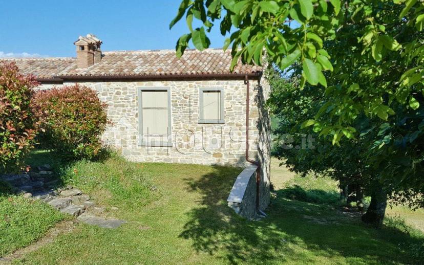 Rustico Loc. Sant'Andrea, Badia Tedalda — foto 22 di 31