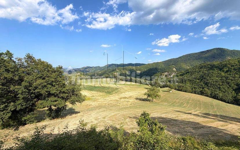 Rustico Loc. Sant'Andrea, Badia Tedalda — foto 14 di 31