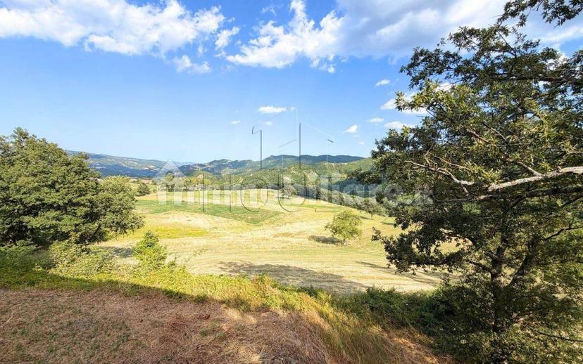 Rustico Loc. Sant'Andrea, Badia Tedalda — foto 30 di 31