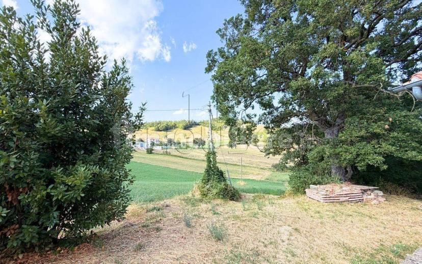 Rustico Loc. Sant'Andrea, Badia Tedalda — foto 10 di 31