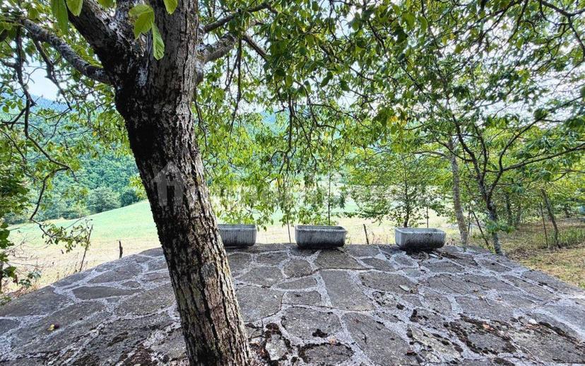 Rustico Loc. Sant'Andrea, Badia Tedalda — foto 18 di 31