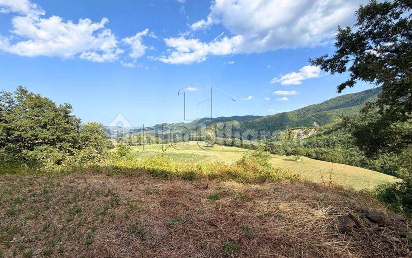 Rustico Loc. Sant'Andrea, Badia Tedalda — foto 9 di 31