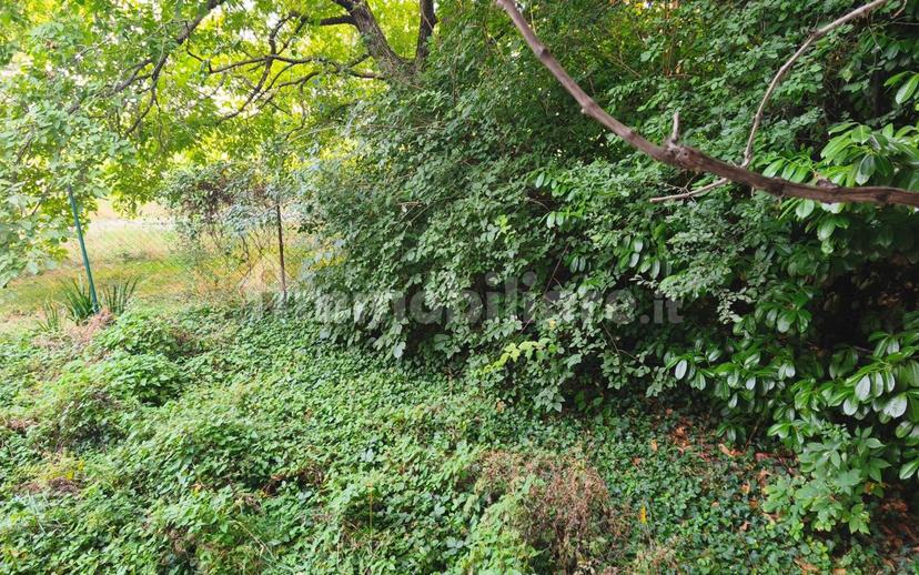 Trilocale Strada delle Fonderie, Parco Ducale - Oltretorrente, Parma — foto 20 di 26
