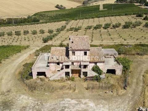 Cascina via Montesecco, Tabano - Montecappone, Jesi — foto 8 di 12