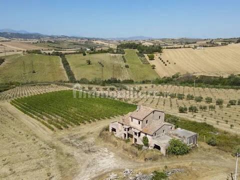 Cascina via Montesecco, Tabano - Montecappone, Jesi — foto 4 di 12
