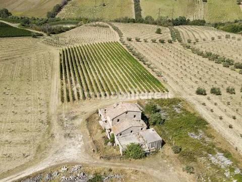 Cascina via Montesecco, Tabano - Montecappone, Jesi — foto 6 di 12