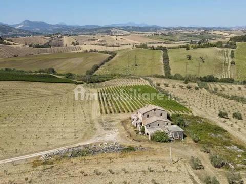 Cascina via Montesecco, Tabano - Montecappone, Jesi — foto 2 di 12