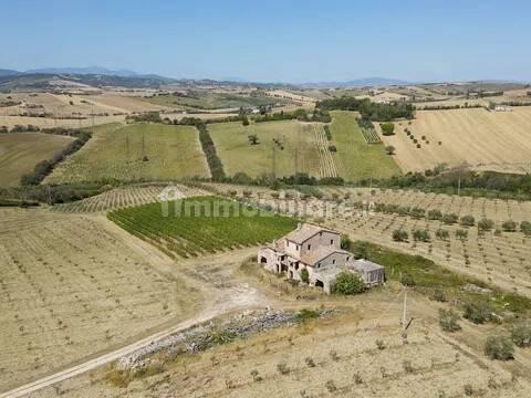 Cascina via Montesecco, Tabano - Montecappone, Jesi — foto 12 di 12