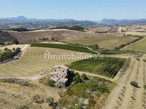 Cascina via Montesecco, Tabano - Montecappone, Jesi — foto 7 di 12