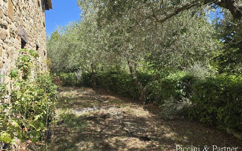 Rustico Vocabolo Castello-Greppolischieto, Piegaro — foto 17 di 59