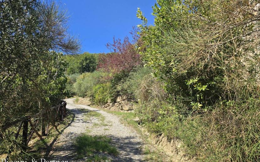 Rustico Vocabolo Castello-Greppolischieto, Piegaro — foto 28 di 59