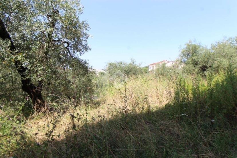 Terratetto plurifamiliare via Larciano, San Rocco, Larciano — foto 2 di 38