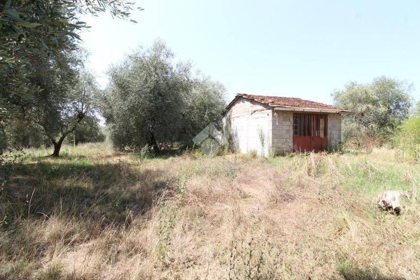 Terratetto plurifamiliare via Larciano, San Rocco, Larciano — foto 4 di 38