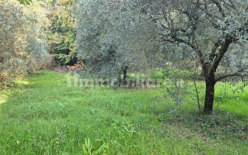 Trilocale via Scopiccio, Centro, Sezze — foto 3 di 8