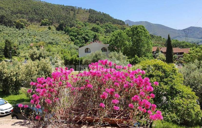 Villa a schiera 5 locali, buono stato, Centro, Calci — foto 43 di 46