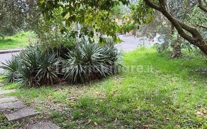 Villa a schiera 5 locali, buono stato, Centro, Calci — foto 42 di 46