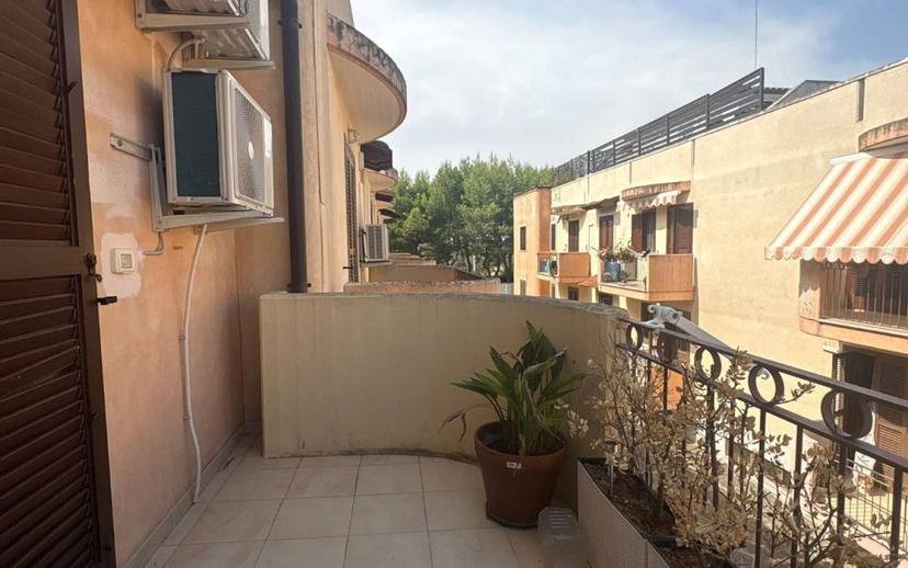 Trilocale viale dei Lilium, Terlizzi — foto 16 di 22