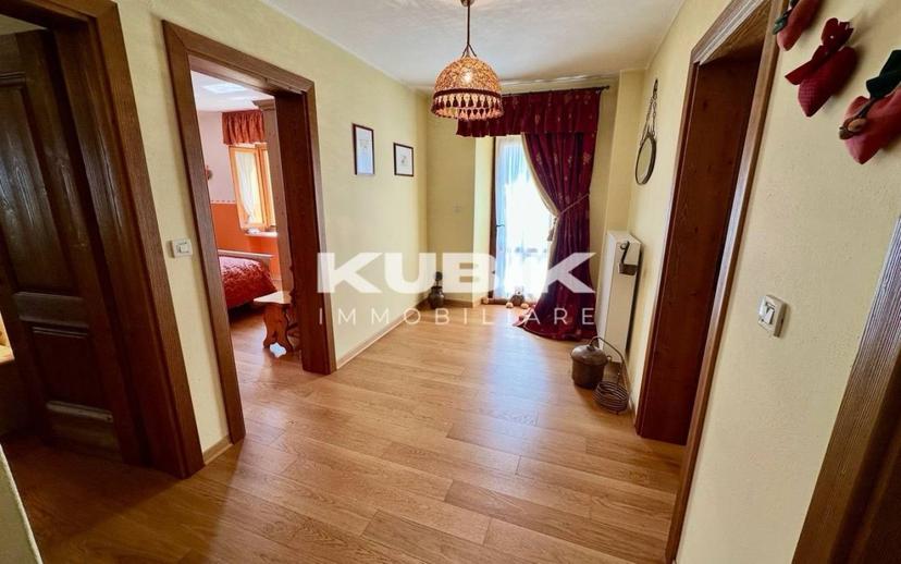 Villa unifamiliare via D. Martino De Crignis, Centro, Ravascletto — foto 16 di 30