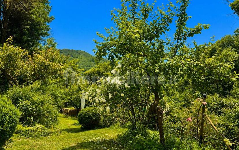 Terratetto unifamiliare centro, Piandimeleto — foto 20 di 24
