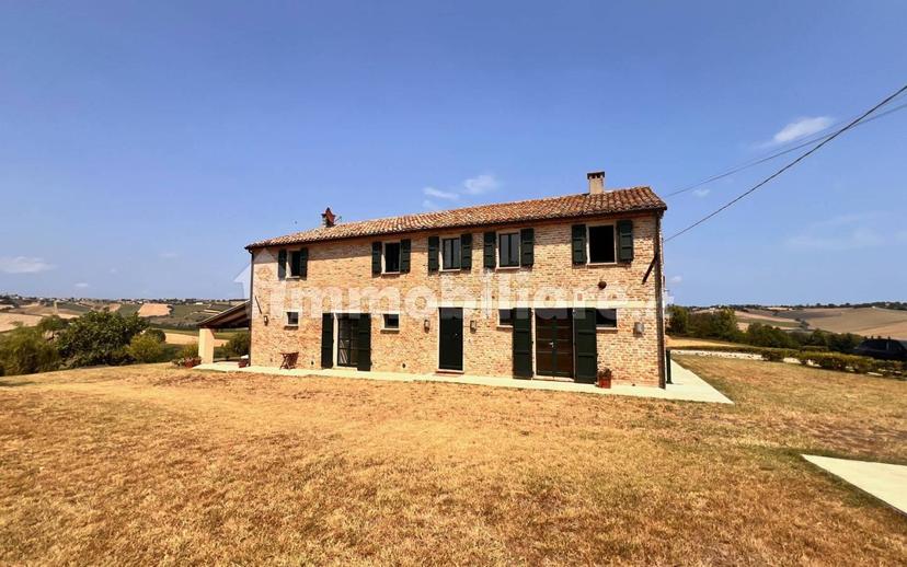 Casa colonica Strada Borgo Duca 38, Terre Roveresche — foto 24 di 28