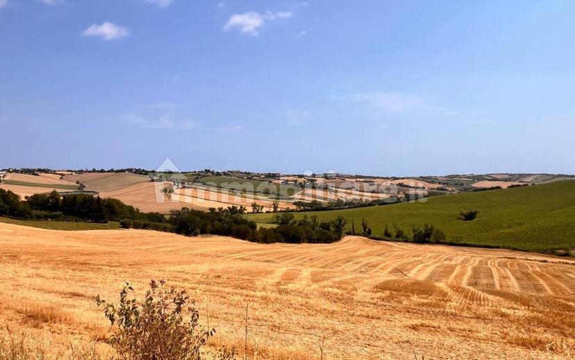 Casa colonica Strada Borgo Duca 38, Terre Roveresche — foto 6 di 28