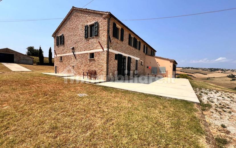 Casa colonica Strada Borgo Duca 38, Terre Roveresche — foto 15 di 28