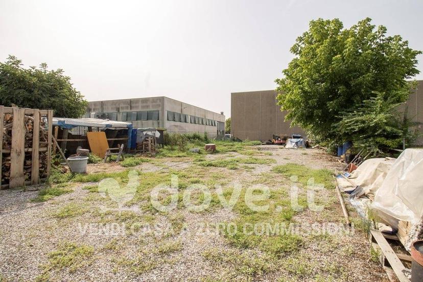 Villa unifamiliare viale Europa 80, Centro, Tribano — foto 2 di 20