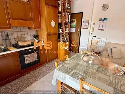 Bilocale buono stato, secondo piano, Centro, Albenga — foto 44 di 49