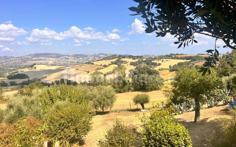 Casa colonica via della Fonte Romana 5, Fratte Rosa — foto 13 di 18
