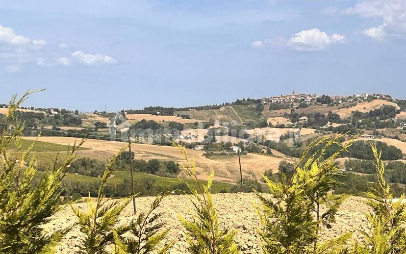 Casa colonica via della Fonte Romana 5, Fratte Rosa — foto 10 di 18