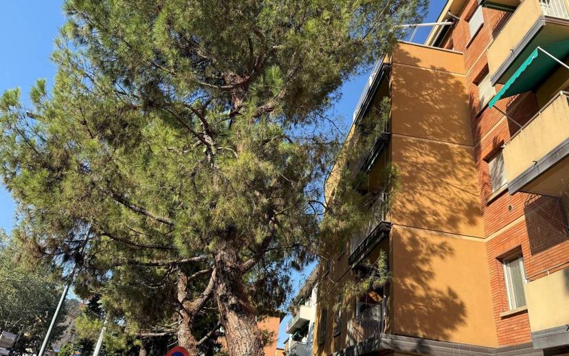 Trilocale via don sturzo, 9, Saragozza fuori Porta, Bologna — foto 20 di 20
