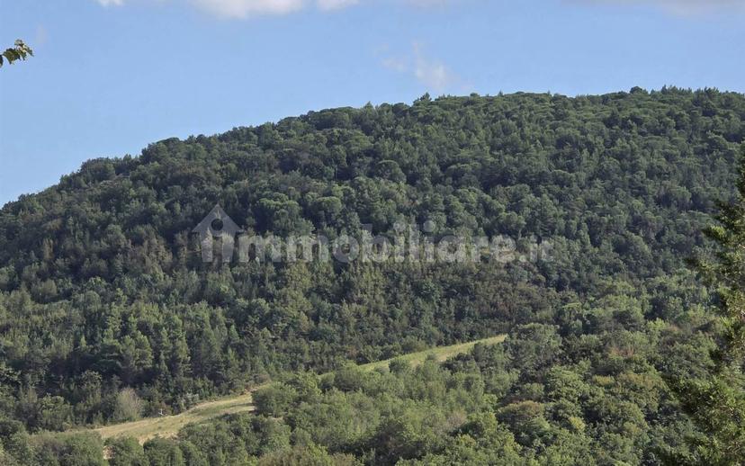 Terratetto unifamiliare frazione Avacelli 202, Arcevia — foto 28 di 29