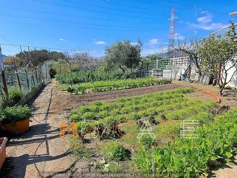 Villa unifamiliare regione Campastro, Albenga — foto 124 di 132