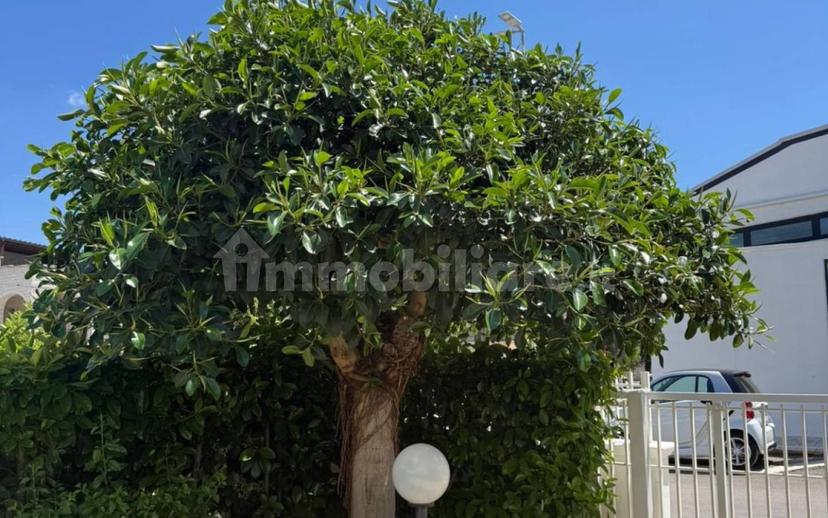 Villa a schiera via Durazzo 5, Savelletri, Torre Canne, Fasano