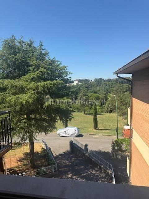 Quadrilocale via Abruzzi,, Vico Alto - San Miniato, Siena — foto 4 di 13