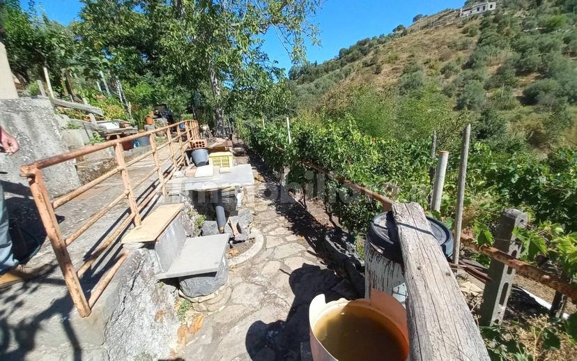 Rustico via San Michele traversa 1, Piedimonte Etneo — foto 12 di 17