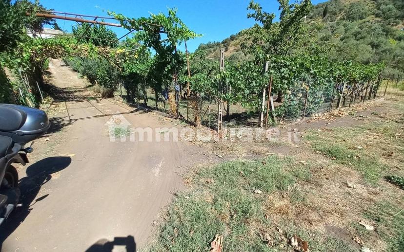 Rustico via San Michele traversa 1, Piedimonte Etneo — foto 9 di 17