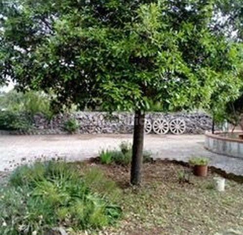 Villa unifamiliare via Lanzo zona G 76, Martina Franca — foto 5 di 19
