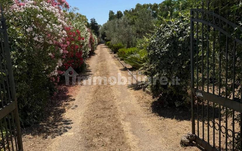 Villa unifamiliare Strada Vicinale Pagliere Pozzo Dolce 31, Cutrofiano — foto 8 di 39
