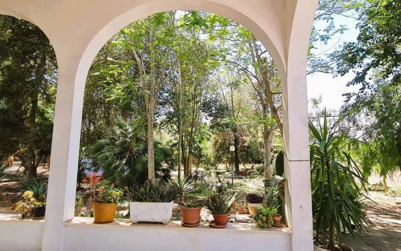 Villa unifamiliare Strada Vicinale Pagliere Pozzo Dolce 31, Cutrofiano — foto 38 di 39