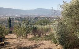 Rustico via Belvedere Castellone, Anagni