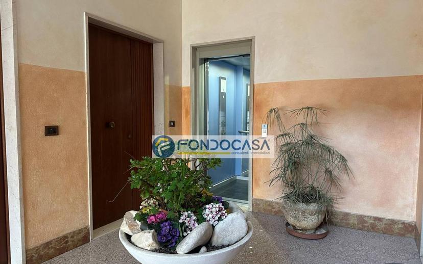 Trilocale via Pisa 22, Marina di Massa Centro, Massa — foto 29 di 32