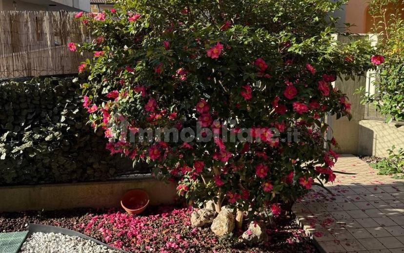 Trilocale via Schiavonia, Borgo Verde, Preganziol — foto 3 di 15