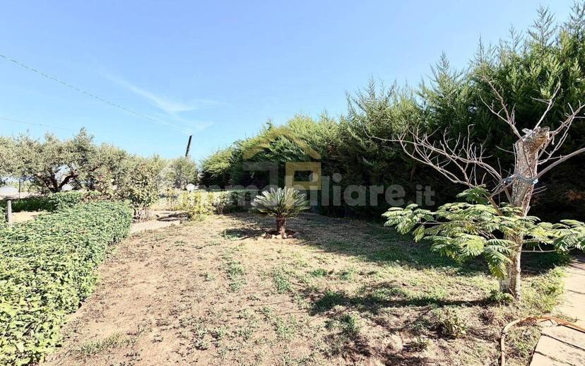 Villa bifamiliare Contrada Passarello, Partinico — foto 11 di 28