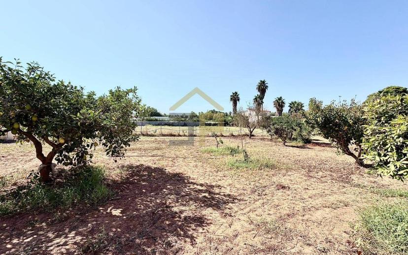 Villa bifamiliare Contrada Passarello, Partinico — foto 6 di 28