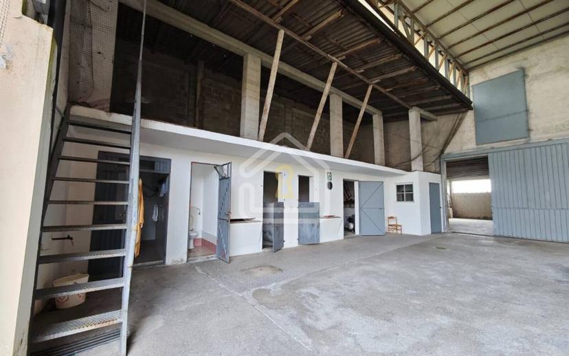 Casale via dei Molini 26, San Lorenzo, Sedegliano — foto 35 di 48