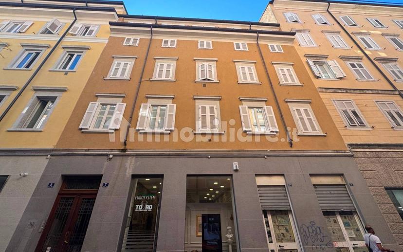 Mansarda via del Toro 7, Largo Barriera - Ospedale Maggiore, Trieste — foto 9 di 20